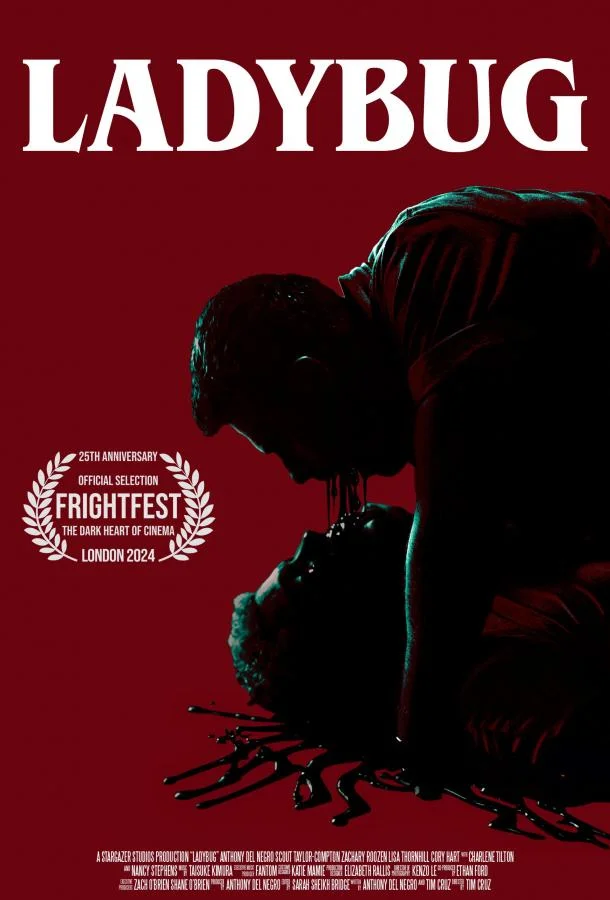 Фильм Божья коровка 2024 смотреть онлайн бесплатно в хорошем качестве